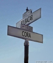 cora